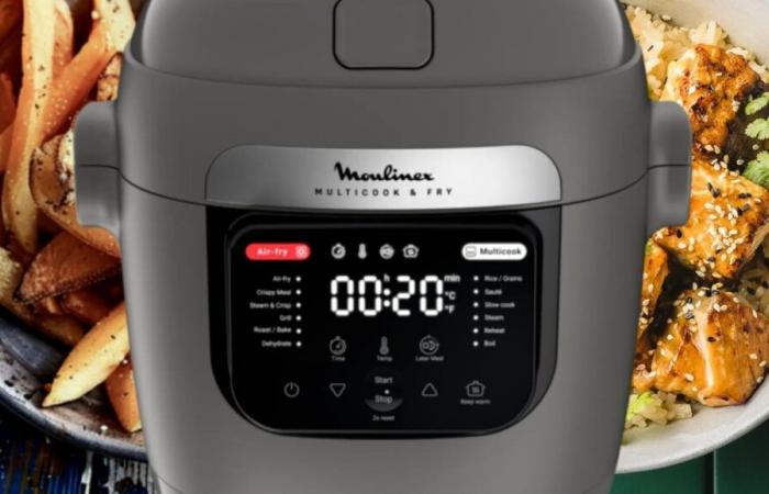 Moulinex lanza una extraordinaria airfryer multicocina