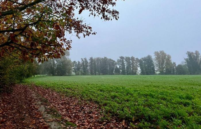 Informe meteorológico. ¿Cómo está el tiempo este sábado 9 de noviembre en Alta Francia?