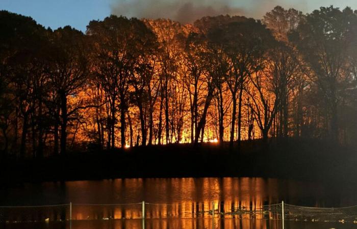 Se produce un incendio en un parque de Nueva York