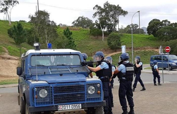 La sanción ecológica “carga” el presupuesto de Gendarmería dedicado a la compra de vehículos nuevos