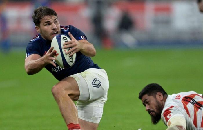 Los puntajes de los Bleus durante el Francia-Japón (52-12): Antoine Dupont diesel, super Louis Bielle-Biarrey