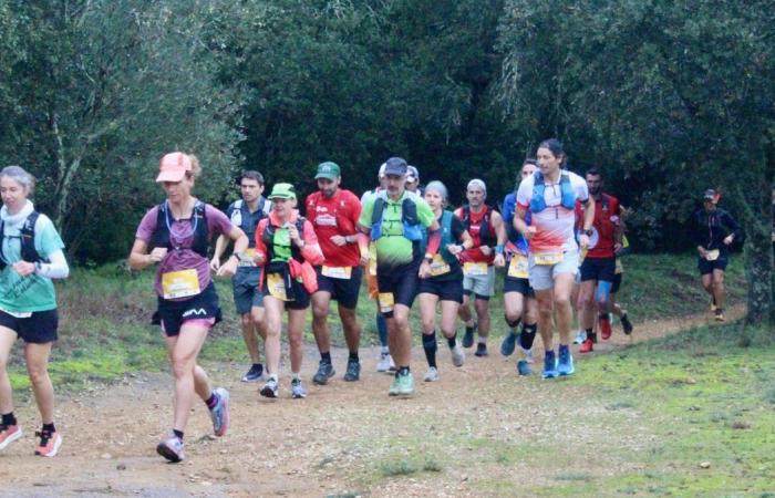 DATO DE LA TARDE Veni Vici, ¡la carrera de los furiosos!