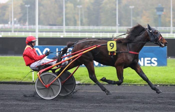 Lovely du Vallon gana con Mathieu Mottier en Vincennes