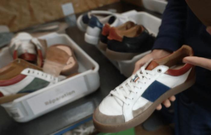 la zapatilla tricolor apuesta por la innovación para destacar