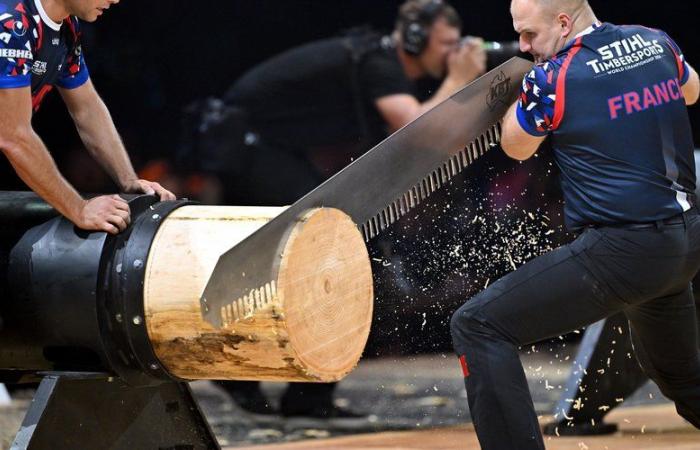 Campeonato mundial de tala deportiva en Toulouse: el equipo francés se superó ante un público conquistado