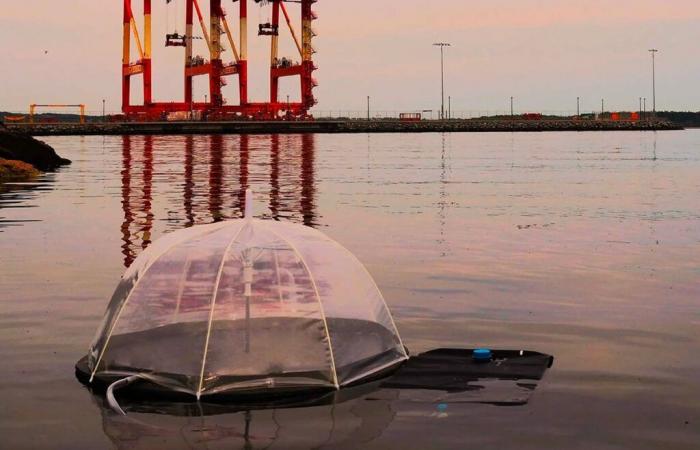 Un destilador solar hecho con neumáticos viejos purifica 15 vasos de agua al día