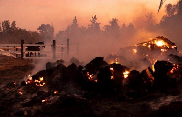 En California, los bomberos siguen luchando contra un destructivo incendio cerca de Los Ángeles