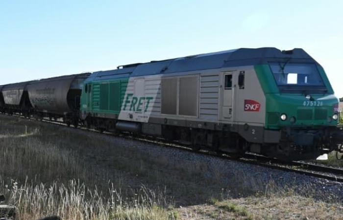 Desmantelamiento del transporte de mercancías, privatización… Los motivos de la huelga anunciada en la SNCF