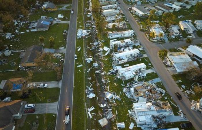 ¿Cuáles son los desafíos climáticos de la COP29? Entrevista con Timothée Poisot