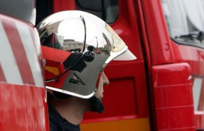 “Limpios” y “bien recortados”: los bomberos deberán afeitarse la barba si quieren volver al trabajo, según el Consejo de Estado