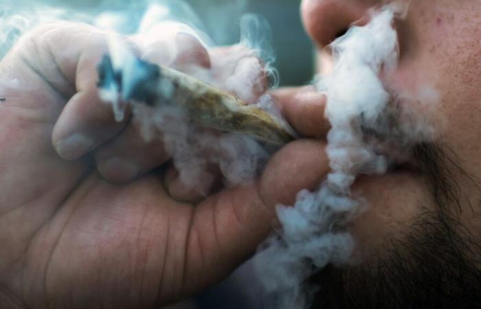 Los consumidores de drogas están muy divididos sobre las medidas gubernamentales contra el tráfico de drogas