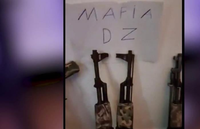 La estrategia de la mafia DZ para dominar el narcotráfico en Marsella