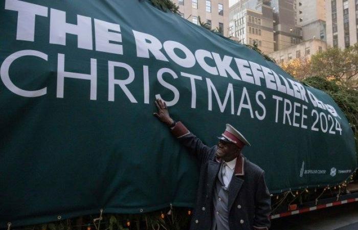 La Pícea Noruega de Massachusetts llega a Nueva York como árbol de Navidad del Rockefeller Center