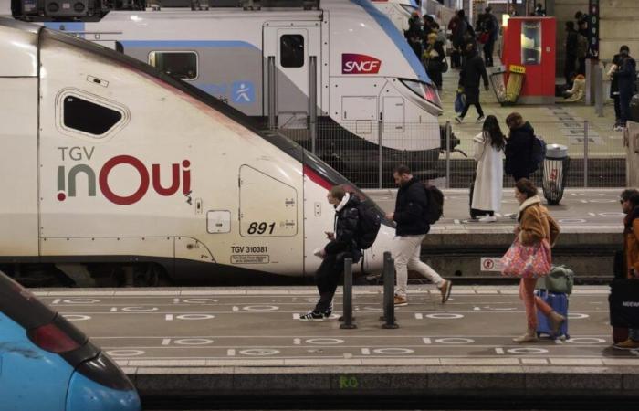 El gato de dos mujeres de Burdeos aplastado por un tren: SNCF liberada en apelación