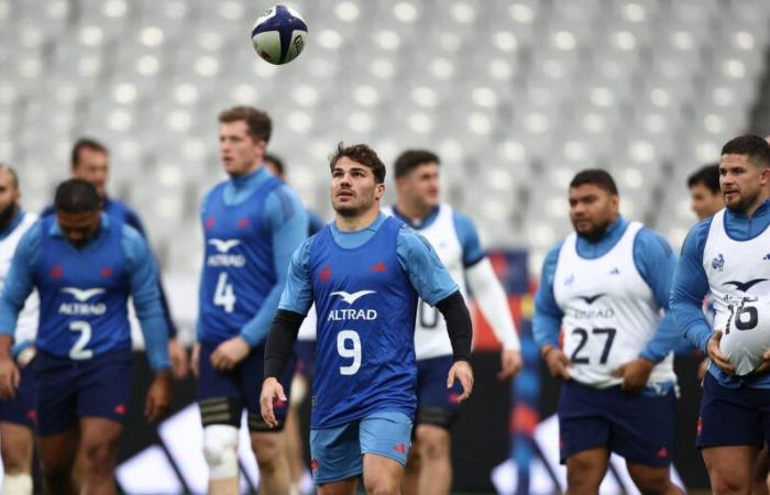 ¿A qué hora y en qué canal ver el primer test match de rugby de los Blues?