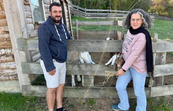 Este administrador de un parque de Lot-et-Garonne analiza la dura realidad del oficio de cuidador de animales