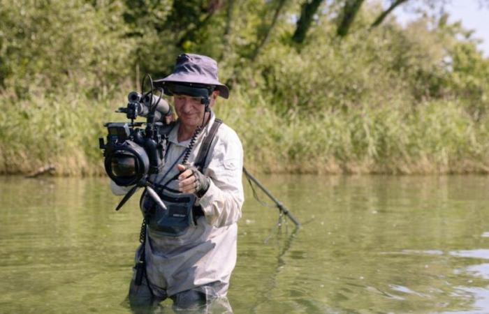 Tolochenaz: Bucear en las aguas profundas del lago Lemán en la Maison de la Rivière