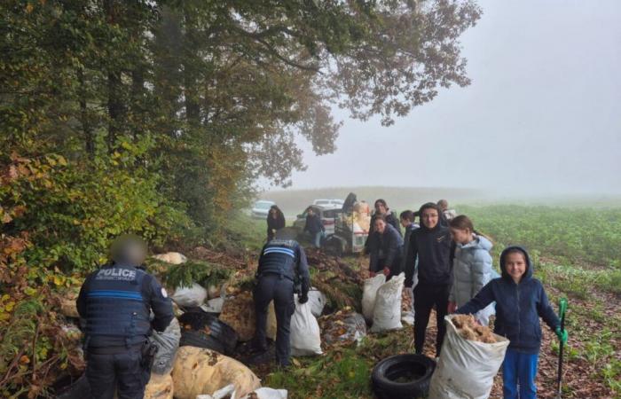 Los jóvenes recogen residuos de un vertedero ilegal en Laboissière-en-Thelle.