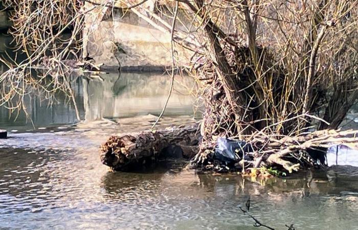 Un diagnóstico gratuito para limitar las consecuencias de las inundaciones.