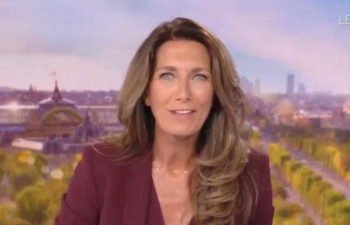 Público 20 h: Anne-Claire Coudray domina ampliamente con más de 5,3 millones en TF1 frente a Laurent Delahousse en dificultades en France 2 con menos de 3,8 millones