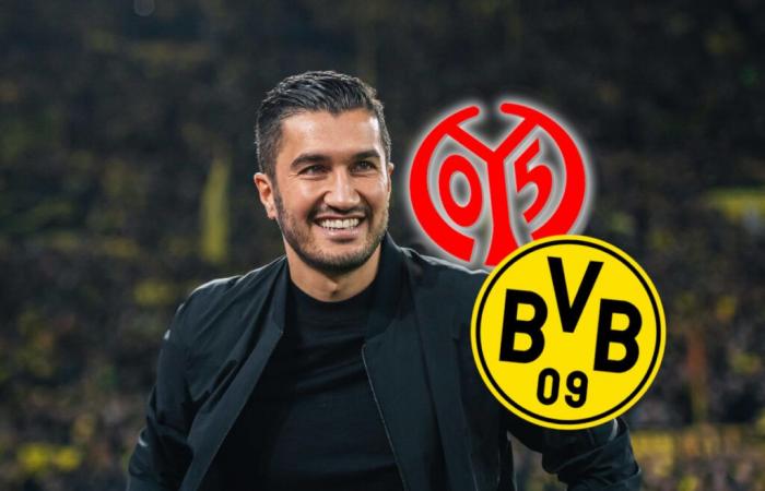 Mainz 05 – Borussia Dortmund: la redención del BVB – ahora es oficial