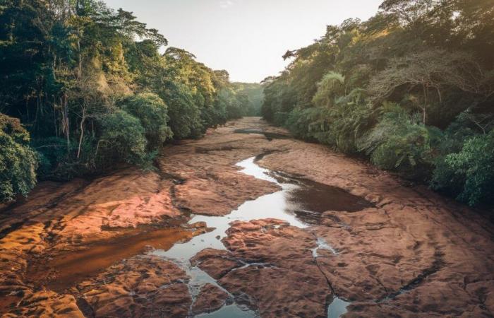 Una sequía excepcional perturba la vida en Guyana