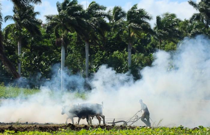 Nuestras imágenes inéditas | La prensa