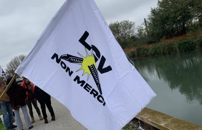 Anti-LGV. Una “ardilla” descolgada de un árbol por la policía, la situación es tensa al norte de Toulouse