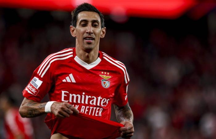 DIRECTO. Benfica – Oporto: sigue el partido