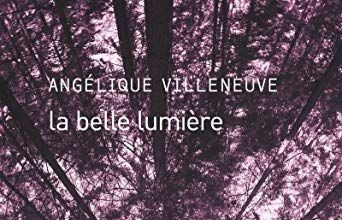 La hermosa luz Angélique Villeneuve