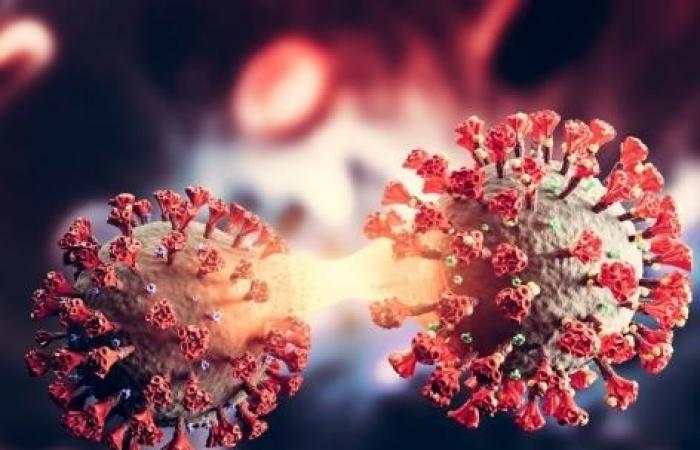 El virus Covid-19 “roba” nuestras proteínas para protegerse del sistema inmunológico