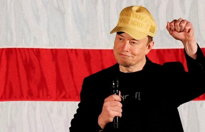 Tras ataque contra Scholz: Elon Musk también llama “tonto” a Habeck | política