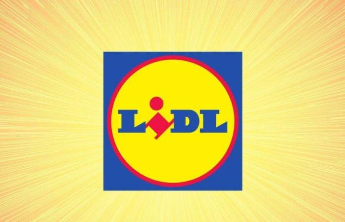 Sí, Lidl participa este lunes en el Doble 11 y ya es una locura