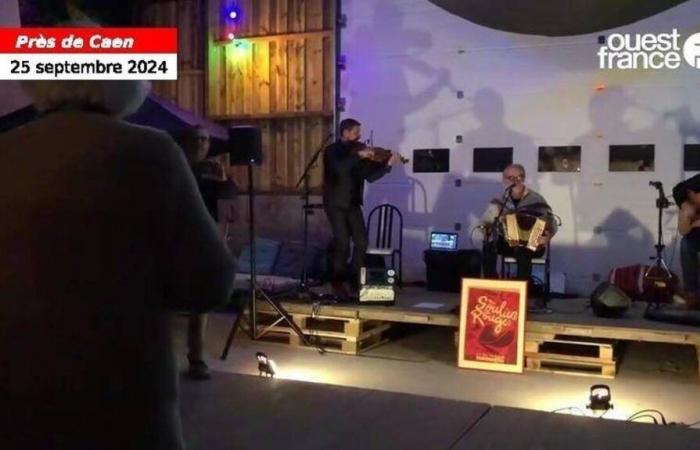 VIDEO. El grupo normando Mis zapatos son rojos ahora ofrece conciertos privados en casas de sus fans