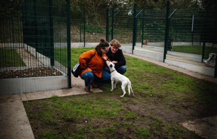 Más grande, más moderno, más ecológico… un refugio de nueva generación se abre al público en Gennevilliers