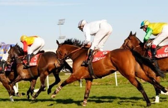 Predicciones de carreras de caballos para el lunes 11 de noviembre de 2024