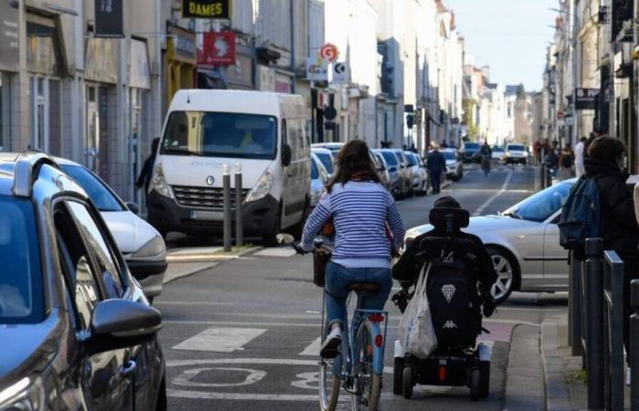 ¿Deberíamos prohibir las carreteras a los coches?