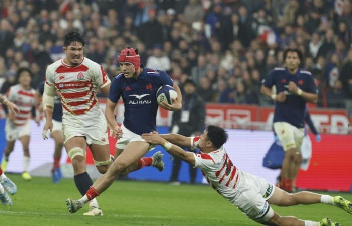 Audiencia televisiva: 4,5 millones de espectadores viendo el partido de rugby Francia-Japón en TF 1