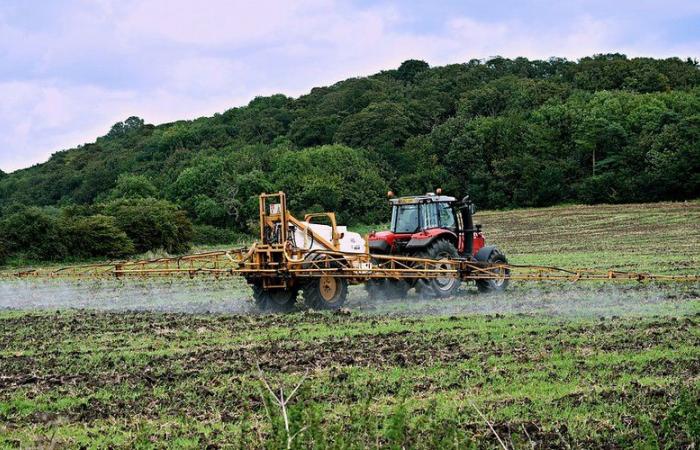 ¿Cuáles son estos nuevos pesticidas que se señalan en los casos de cáncer de próstata, el más común en hombres?