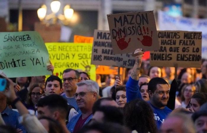 EN FOTOS – “Asesinos”: en Valencia, una marea humana grita de ira tras las mortales inundaciones