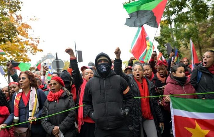 En París, miles de personas “se levantan” contra el alto coste de la vida en el extranjero