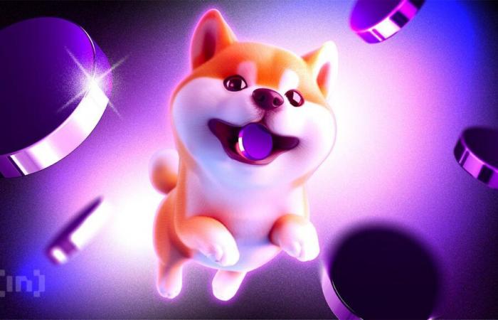 Shiba Inu gana más del 40% en 24 horas: ¿qué esperar?