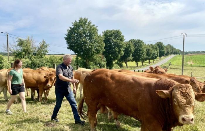 La Ferme de l’Arche, una de las últimas explotaciones ganaderas del Valle del Oise