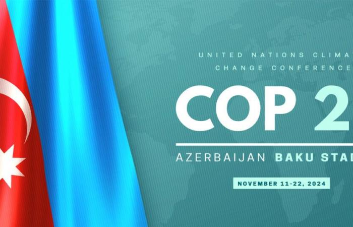 la clave que podría desbloquear los debates en la COP 29