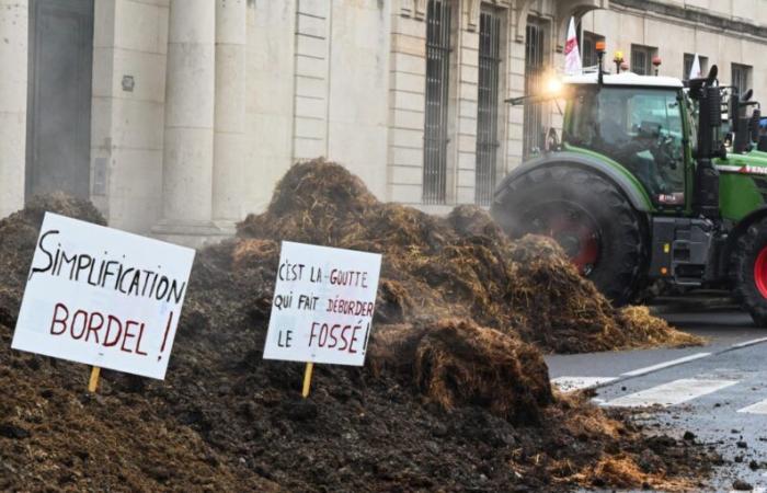 Para Jordan Bardella, el “pronóstico vital” de la agricultura francesa está “comprometido”