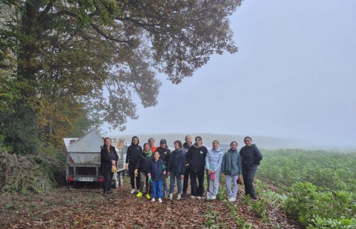 Los jóvenes recogen residuos de un vertedero ilegal en Laboissière-en-Thelle, al sur de Beauvais.