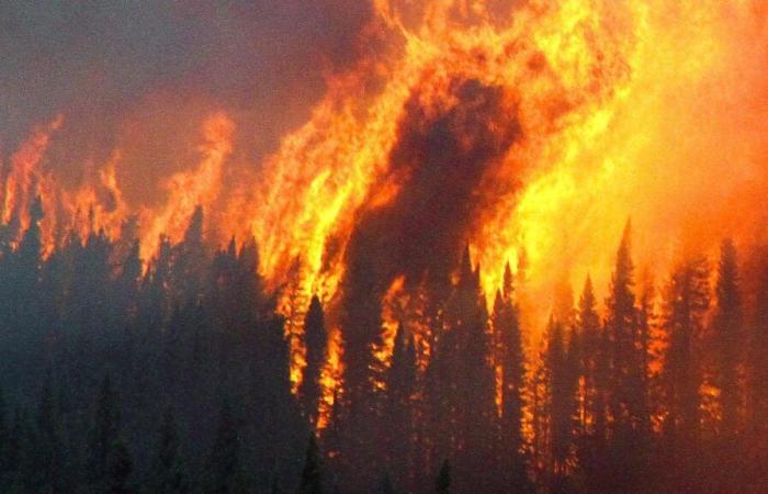 Un trabajador de 18 años muere combatiendo incendios forestales en parques estatales de Nueva York