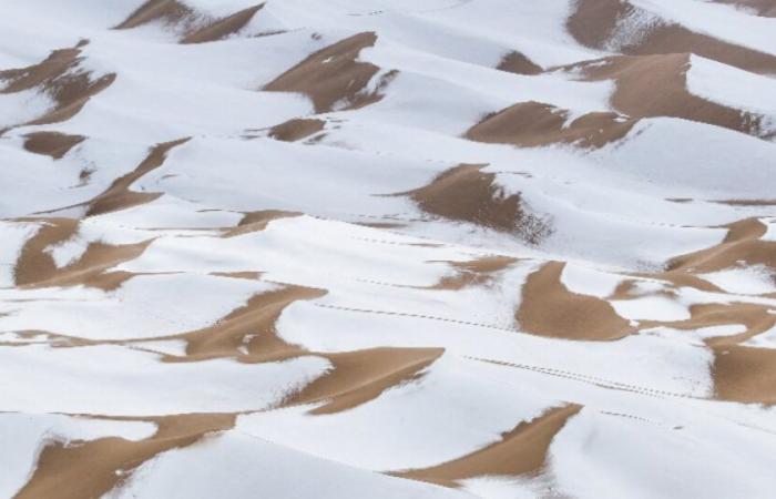 Está nevando en el desierto de Arabia Saudita: Noticias