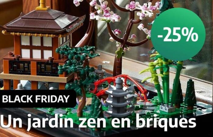 El Black Friday baja un 25% el precio de LEGO The Peaceful Garden, uno de los mejores sets para adultos para ofrecer en Navidad