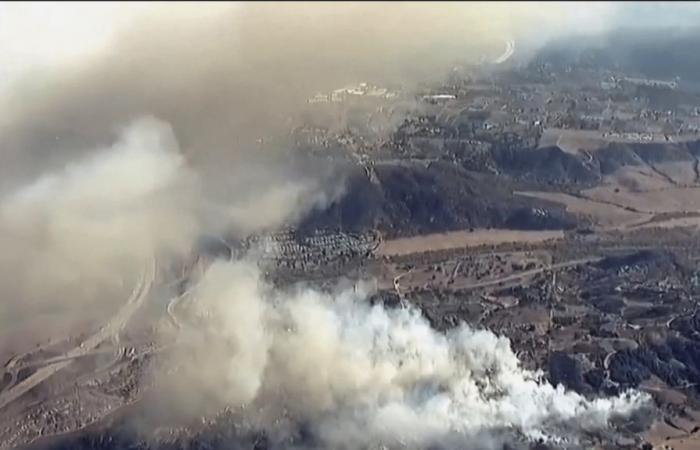 Numerosos bomberos se movilizaron para frenar el avance de las llamas.